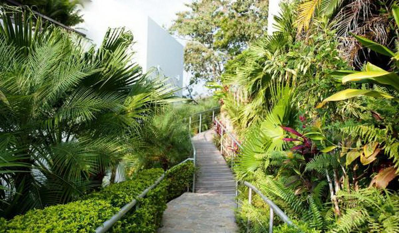 Gaia Hotel & Reserve- Adults Only Nationalpark Nationalpark Manuel Antonio Exterior foto